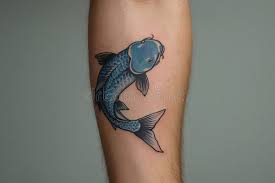 Peixe Koi